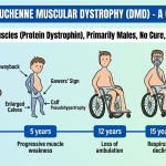 Infographic guide on muscular dystrophy in children showing early signs and supportive care